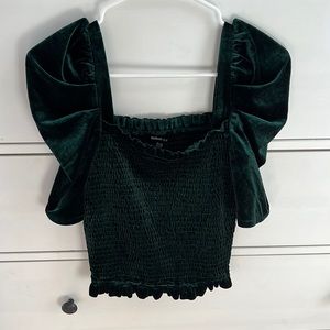 NWOT Velour Blouse